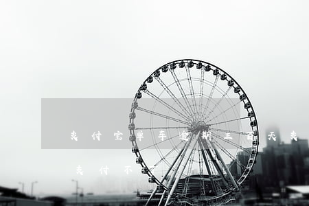 支付宝单车逾期三百天(支付宝单车支付逾期支付不了)