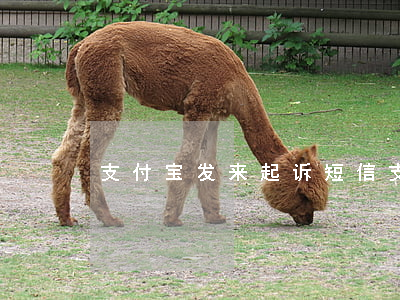 支付宝发来起诉短信(支付宝发来起诉短信)
