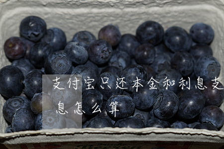 支付宝只还本金和利息 支付宝只还本金和利息怎么算