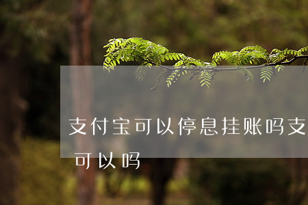 支付宝可以停息挂账吗(支付宝能停息还本金可以吗)