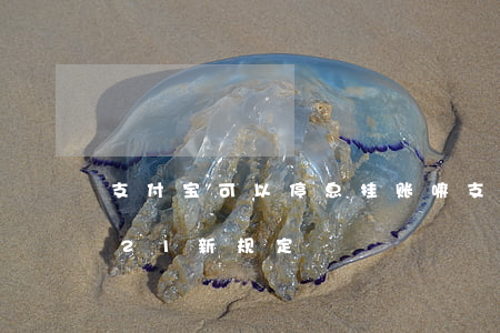 支付宝可以停息挂账嘛 支付宝停息挂账2021新规定