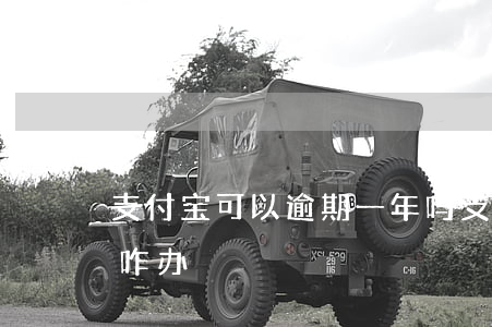 支付宝可以逾期一年吗 支付宝逾期一年多了咋办