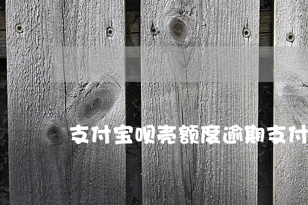 支付宝呗壳额度逾期(支付宝呗壳额度逾期)