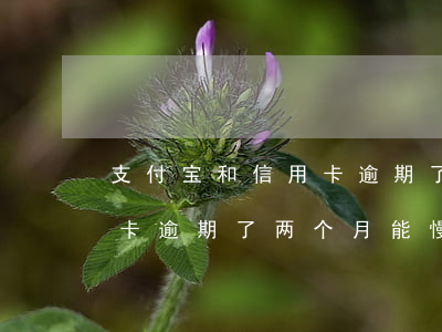 支付宝和信用卡逾期了先还哪个(支付宝信用卡逾期了两个月能慢慢还吗)