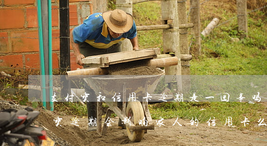 支付宝和信用卡逾期是一回事吗-自己支付宝逾期会影响家人的信用卡么
