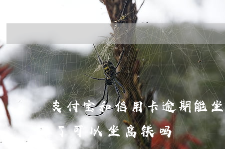 支付宝和信用卡逾期能坐火车吗(支付宝逾期了可以坐高铁吗)