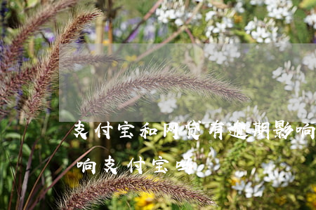 支付宝和网贷有逾期影响房贷吗(网贷逾期影响支付宝吗?)