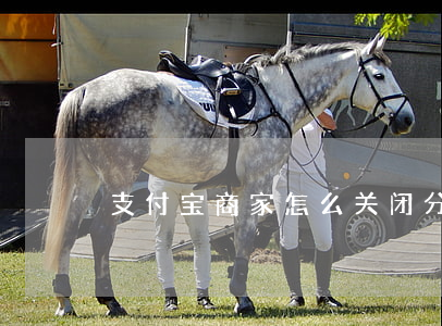支付宝商家怎么关闭分期免息服务