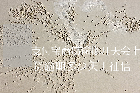 支付宝商贷逾期几天会上征信-支付宝网商贷逾期多少天上征信