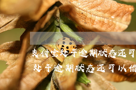 支付宝处于逾期状态还可以借贷么-支付宝处于逾期状态还可以借贷么吗