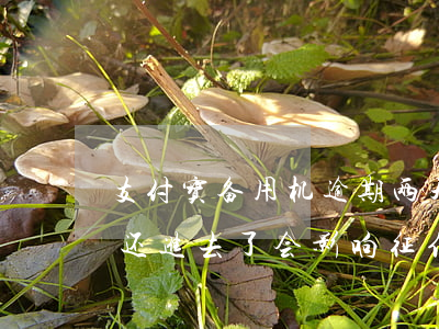 支付宝备用机逾期两天(支付宝备用机逾期了还进去了会影响征信吗)