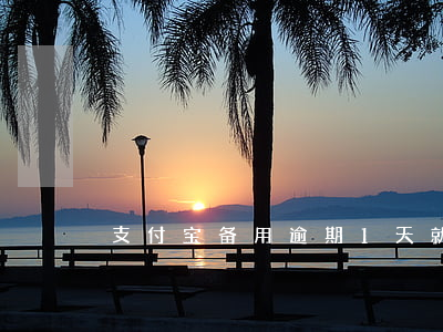 支付宝备用逾期1天就用不了啦