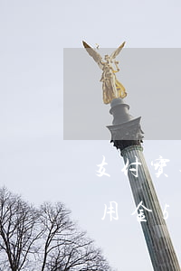 支付宝备用金500逾期会怎样-支付宝备用金500逾期了一天不能用了