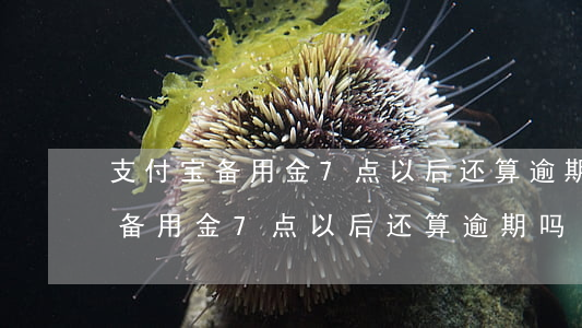 支付宝备用金7点以后还算逾期吗-支付宝备用金7点以后还算逾期吗