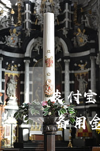 支付宝备用金不小心逾期1个小时-支付宝备用金不小心逾期1个小时