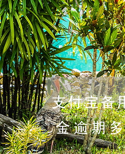 支付宝备用金可以逾期多长时间（支付宝备用金逾期多少天会被扣分）