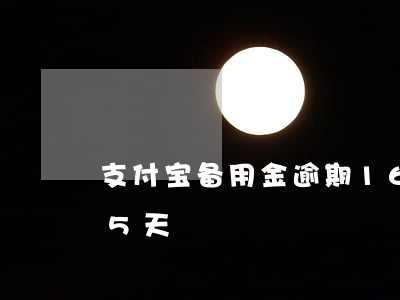支付宝备用金逾期16天(支付宝备用金逾期5天)