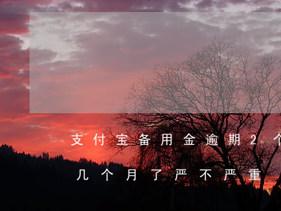 支付宝备用金逾期2个月 支付宝备用金逾期几个月了严不严重