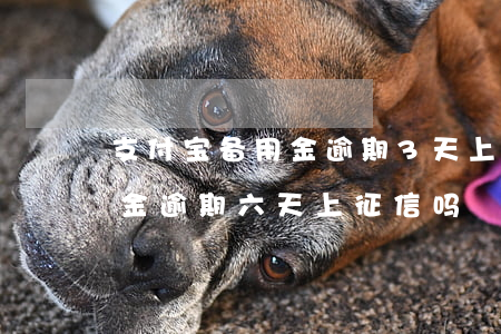 支付宝备用金逾期3天上征信么（支付宝备用金逾期六天上征信吗）