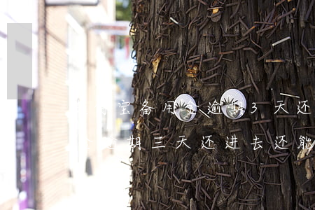 支付宝备用金逾期3天还能借吗(支付宝备用金逾期三天,还进去还能借出来吗)