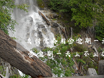 支付宝备用金逾期一天上征信吗(支付宝备用金逾期一天上不上征信)