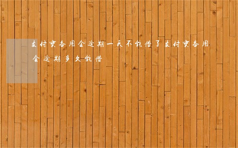 支付宝备用金逾期一天不能借了（支付宝备用金逾期多久能借）