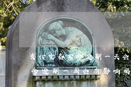 支付宝备用金逾期一天会降分吗(支付宝备用金逾期一周会有影响吗)