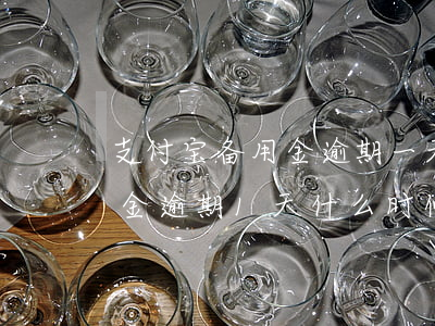 支付宝备用金逾期一天停用多久(支付宝备用金逾期1天什么时候能再用)