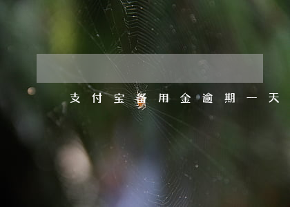 支付宝备用金逾期一天能再用吗