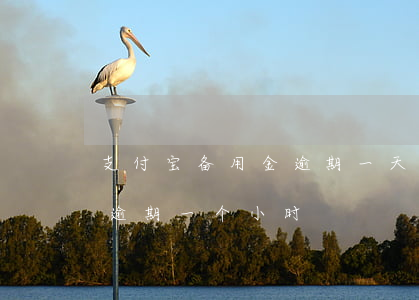 支付宝备用金逾期一天被关了(支付宝备用金逾期一个小时)