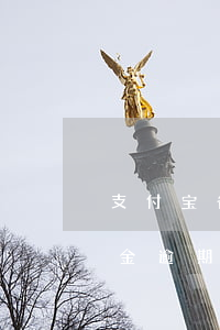 支付宝备用金逾期一天要不要紧(支付宝备用金逾期两天有事吗)