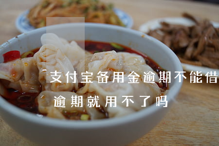 支付宝备用金逾期不能借了-支付宝备用金逾期就用不了吗