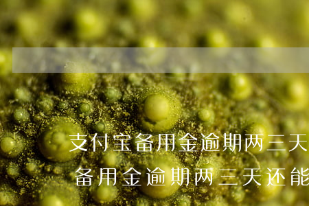 支付宝备用金逾期两三天还能用吗-支付宝备用金逾期两三天还能用吗安全吗