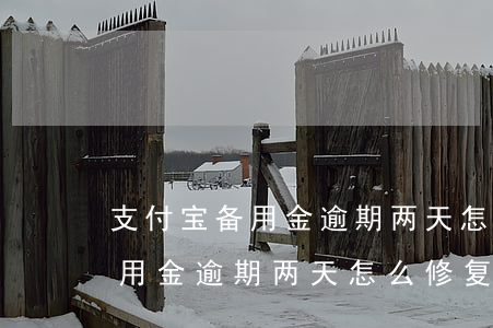 支付宝备用金逾期两天怎么修复-支付宝备用金逾期两天怎么修复征信