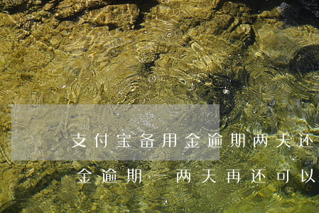 支付宝备用金逾期两天还能用吗(支付宝备用金逾期一两天再还可以吗?)