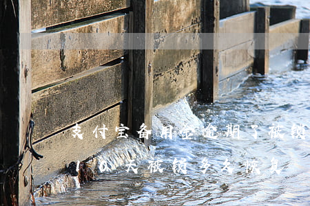 支付宝备用金逾期了被锁(支付宝备用金逾期10天被锁多久恢复)