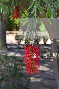 支付宝备用金逾期二十天没事吗 支付宝备用金逾期十几天会怎么样