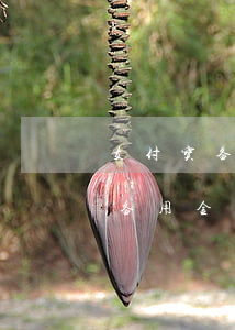 支付宝备用金逾期二天被锁多久恢复（支付宝备用金逾期一天就锁了）
