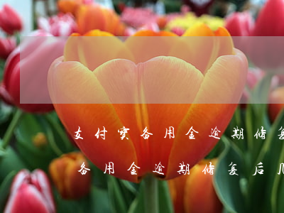 支付宝备用金逾期修复后几天可用-支付宝备用金逾期修复后几天可用啊