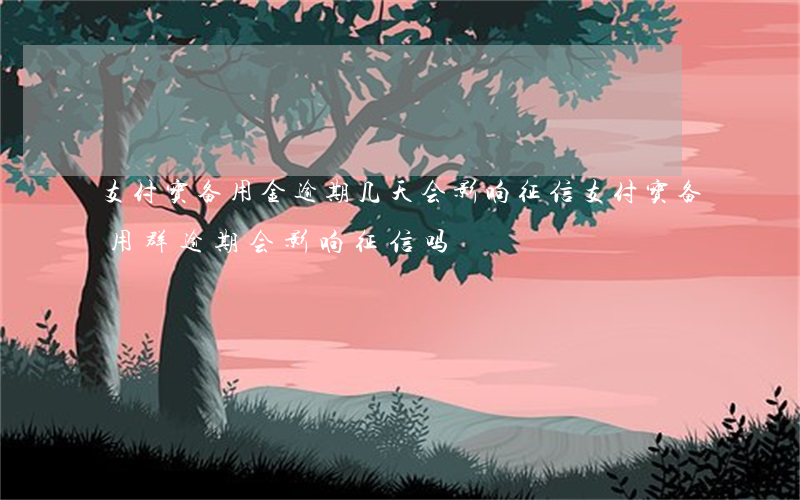 支付宝备用金逾期几天会影响征信（支付宝备用群逾期会影响征信吗）