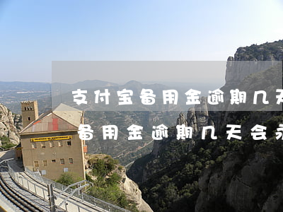 支付宝备用金逾期几天会永久封停-支付宝备用金逾期几天会永久封停吗