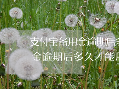 支付宝备用金逾期后多久才能用(支付宝备用金逾期后多久才能用)