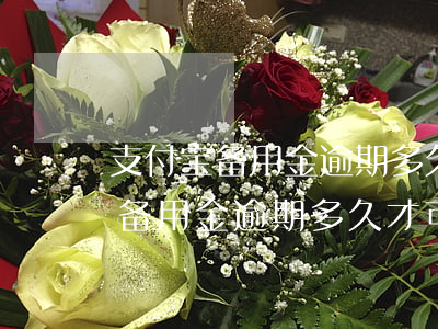 支付宝备用金逾期多久才可以再用-支付宝备用金逾期多久才可以再用呢