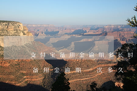 支付宝备用金逾期多长时间才能再用（支付宝备用金逾期一次多久）