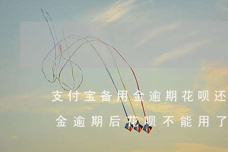支付宝备用金逾期花呗还能用呢(支付宝备用金逾期后花呗不能用了还清了多久才能用)