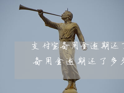 支付宝备用金逾期还了多久还能用-支付宝备用金逾期还了多久还能用啊