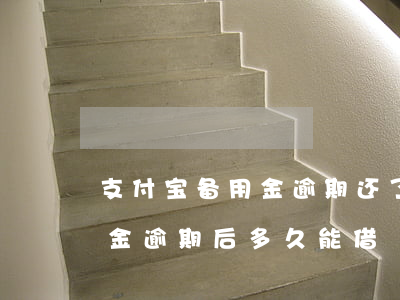 支付宝备用金逾期还了还能借吗（支付宝备用金逾期后多久能借）