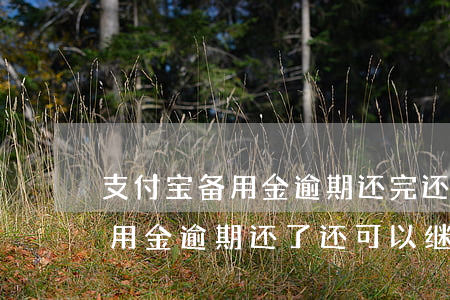 支付宝备用金逾期还完还能用吗-支付宝备用金逾期还了还可以继续用吗