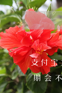 支付宝大号逾期了小号实名制(支付宝小号逾期会不会从主号扣款)