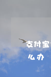 支付宝大号逾期 网贷逾期微信被限制支付怎么办